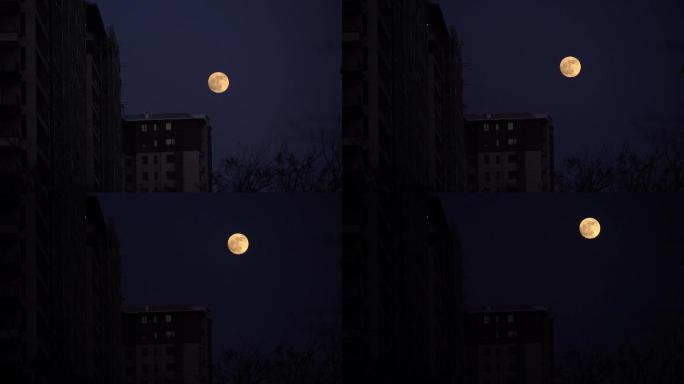 月亮城市楼顶升起延时