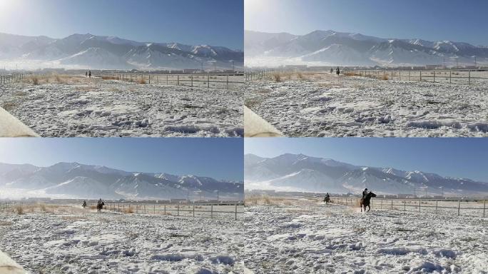 新疆巴里坤：哈萨克族风驰电掣速度雪地赛马