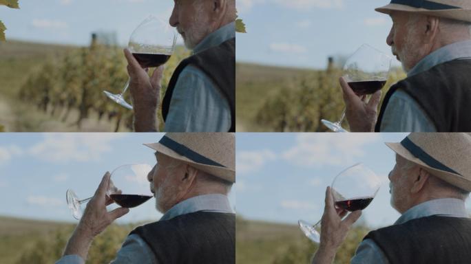 在葡萄园品尝红酒的老年男子