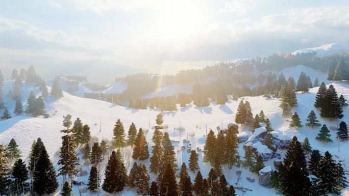 宁静冬季暖阳森林雪景气象