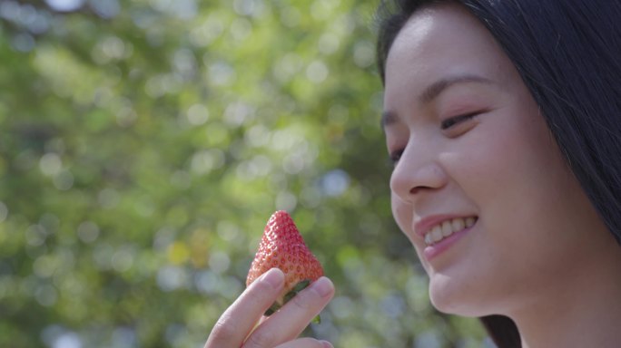 草莓视频素材