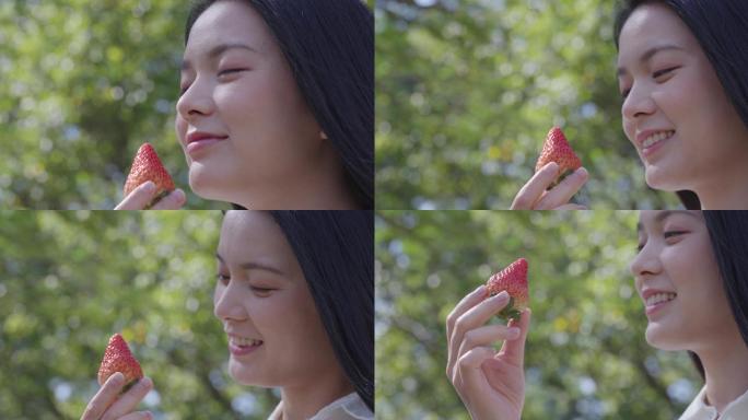 草莓视频素材