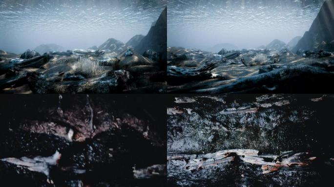 海底朽木地质演变