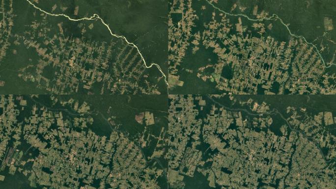 巴西的森林砍伐环境保护变迁植被
