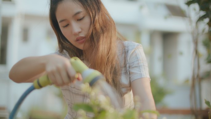 给植物浇水灌溉浇水园艺花圃种植