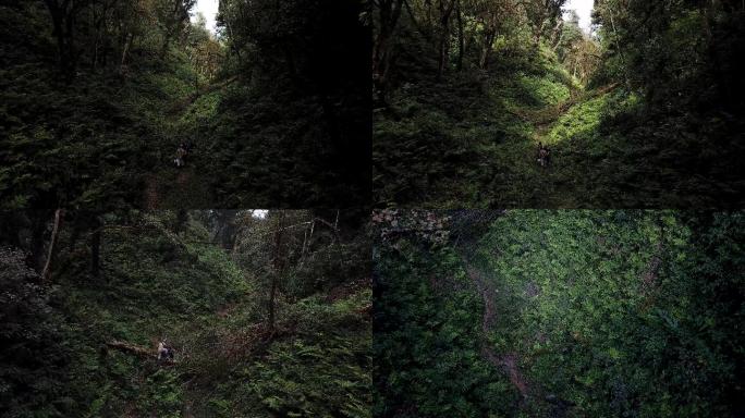 原始森林穿越