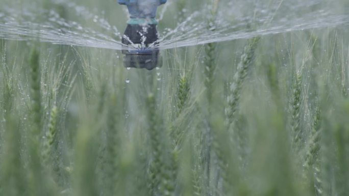 科学现代农业种植 高科技农业灌溉
