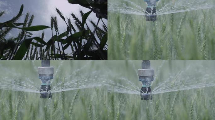 科学现代农业种植 高科技农业灌溉
