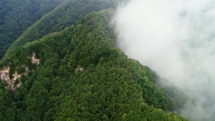 秦岭仙境云海2