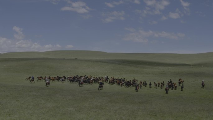 甘肃山丹军马场马群4K航拍素材