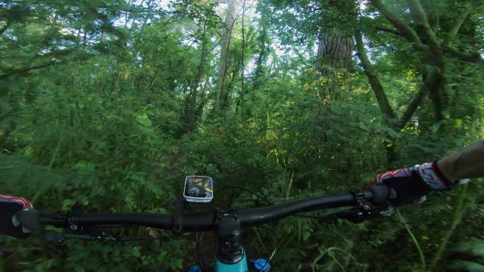 观点POV山地自行车在森林中快速行驶