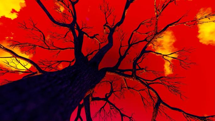 红色恐怖诡异万圣节大树枯树