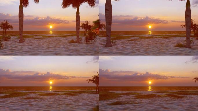 夕阳海边沙滩椰树度假