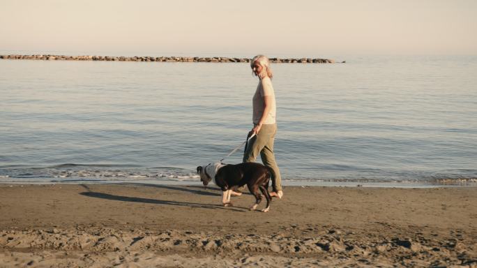 女人和狗在海滩上散步
