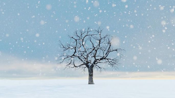 白雪皑皑冬季枯树雪景背景