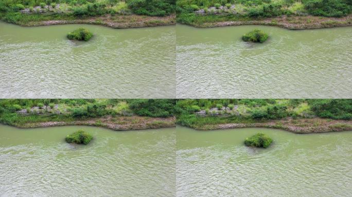 A258 小河中的小孤岛