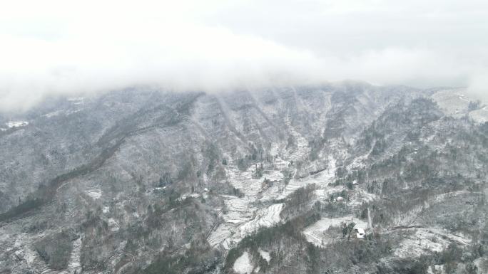 大山里的雪