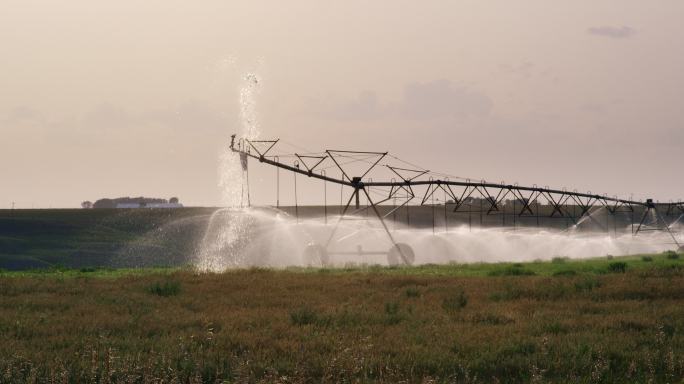 农场大型浇灌设备水稻谷农业丰收稻田小麦粮