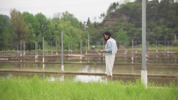 美女田间乡间采花