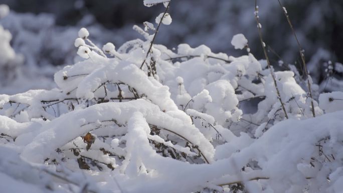 下大雪覆盖