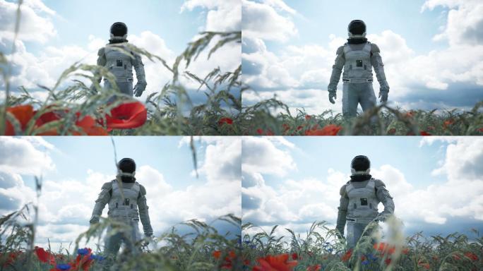 一位太空探险家穿过一片无边无际的花丛