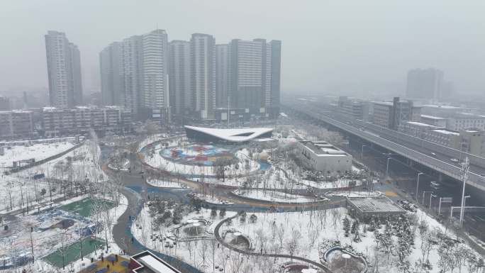 城市雪景郑州青少年公园孩子玩雪