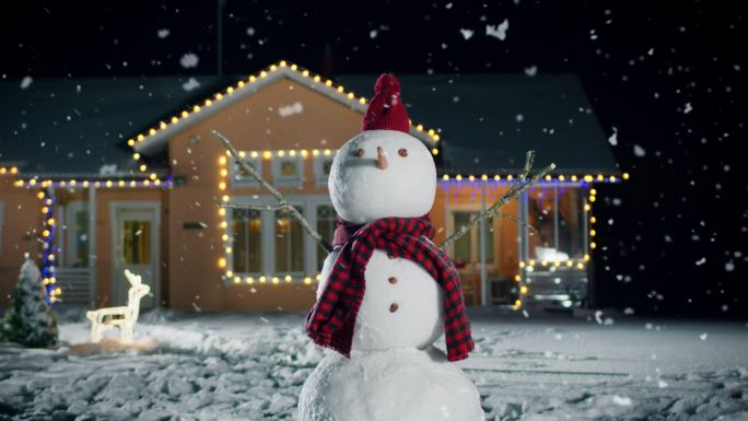 圣诞前夜，一个雪人站在房子的后院里。