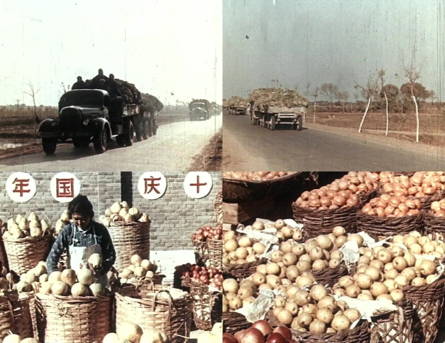 50年代60年代各种蔬菜水果农副产品供应