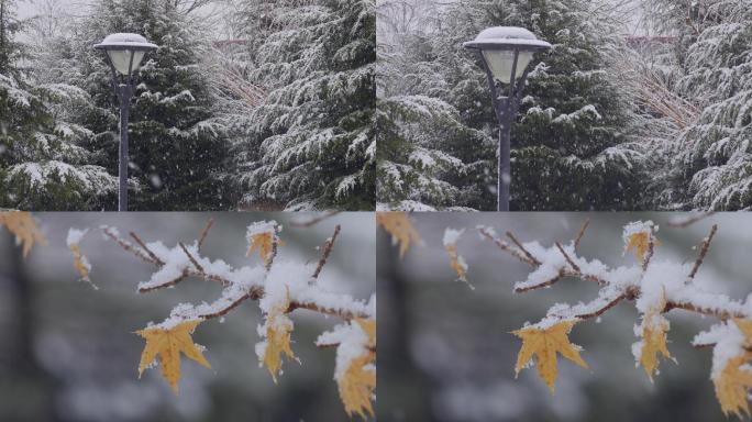 雪中路灯