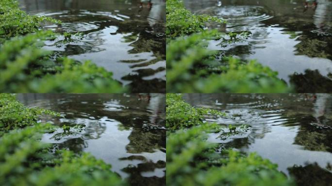 唯美 清新 雨滴 涟漪