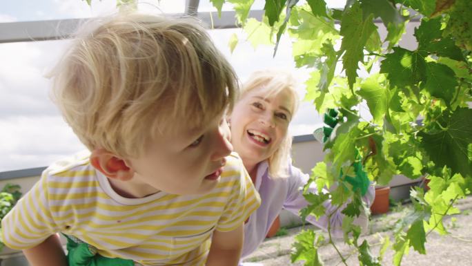 可爱的小男孩和他的祖母一起看着植物
