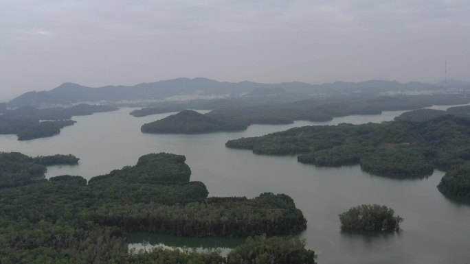 深圳最大水库：宝安区西乡河上的铁岗水库