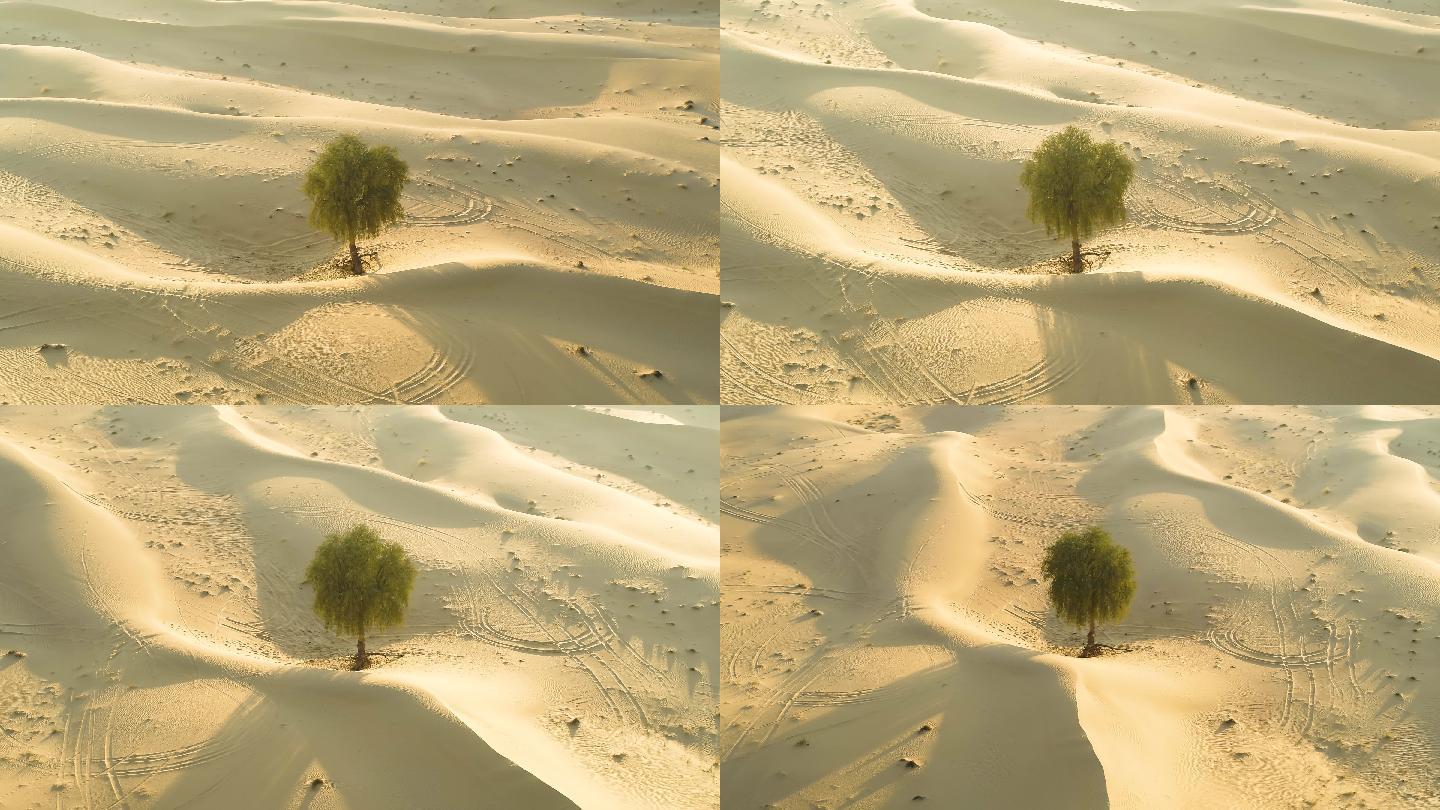 无人机视角下的沙漠