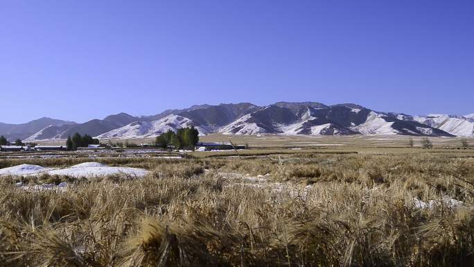西藏雪山风景