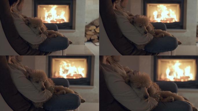 一位年轻女子带着她的狗坐在壁炉旁的家里。