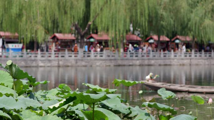 百花洲 湖景 水