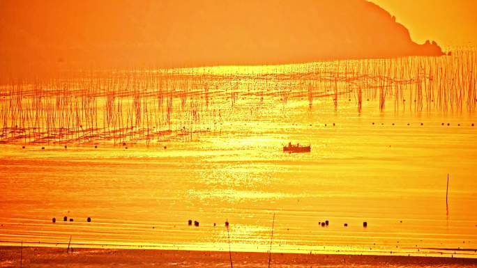 日出金色波光粼粼的海面上一艘小船
