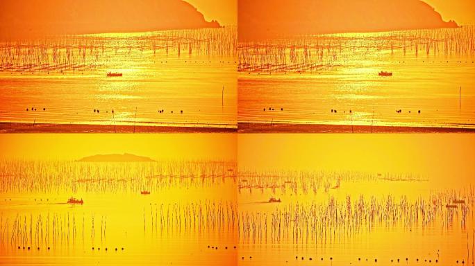 日出金色波光粼粼的海面上一艘小船
