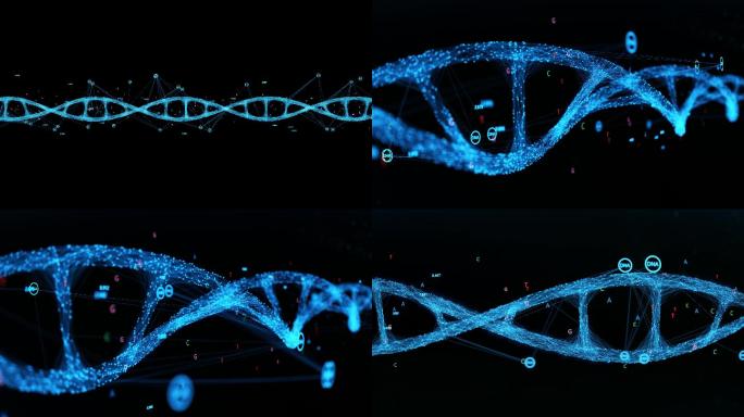 DNA链条3条合集