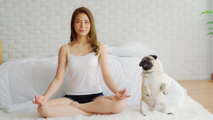 女性和哈巴狗在卧室练习瑜伽