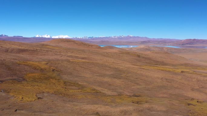 西藏风光湖泊雪山草地