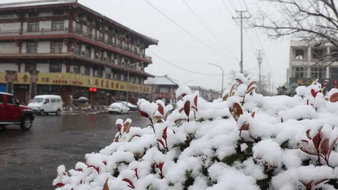 4K 雪中的路口车辆及行人