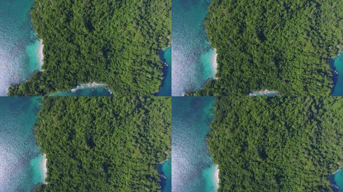 热带丛林岛屿巴拿马无人机视频