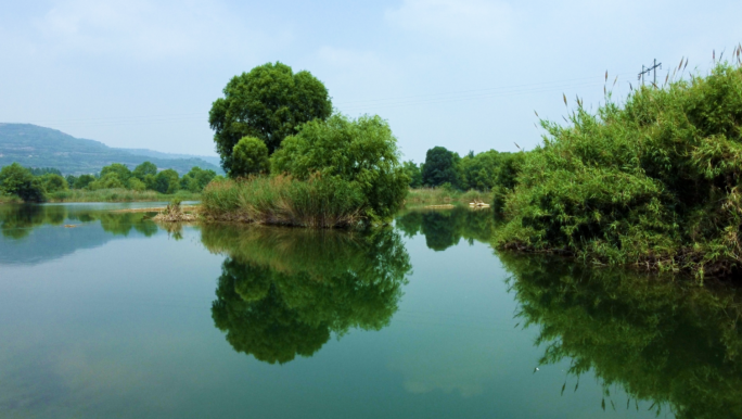 青山绿水生态湿地灌木丛湖泊自然风光树林
