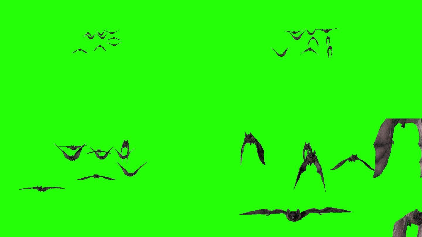 吸血蝙蝠在绿色屏幕上飞行和攻击。