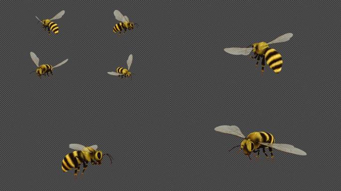 超精细小蜜蜂空中飞行四视角动画 细节丰富