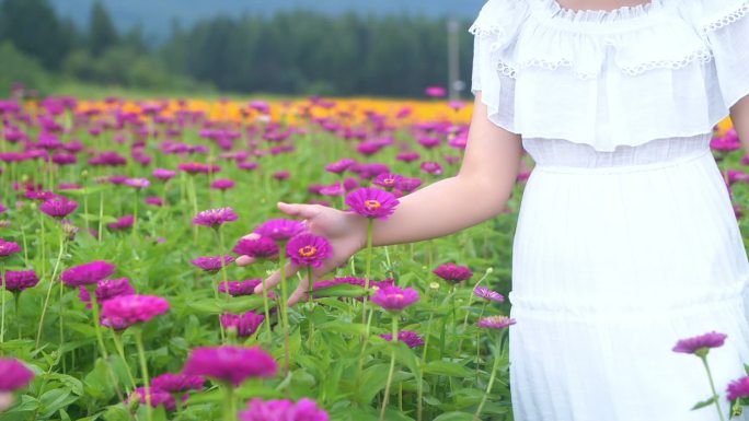 触摸大自然的花海