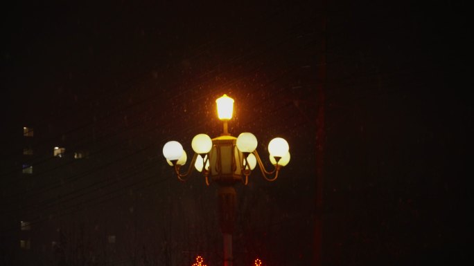 4k夜晚大雪中小区里的路灯slog2实拍