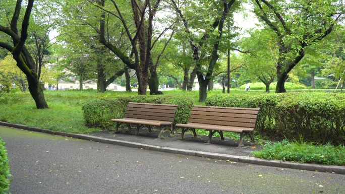 公园里的长椅春天