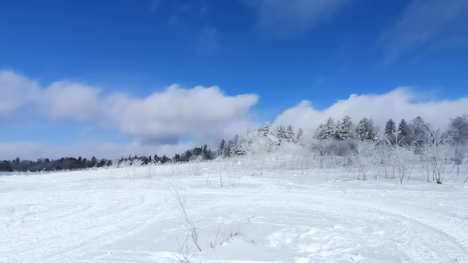 东北雪岭山间飘雪 绝美雾凇马拉车 旅游